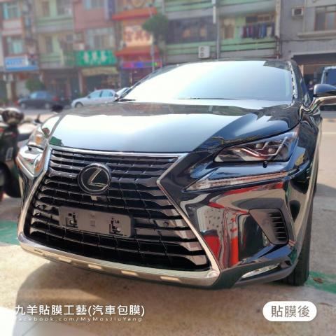 LEXUS NX300 全車(STEK TPU 透明犀牛皮)