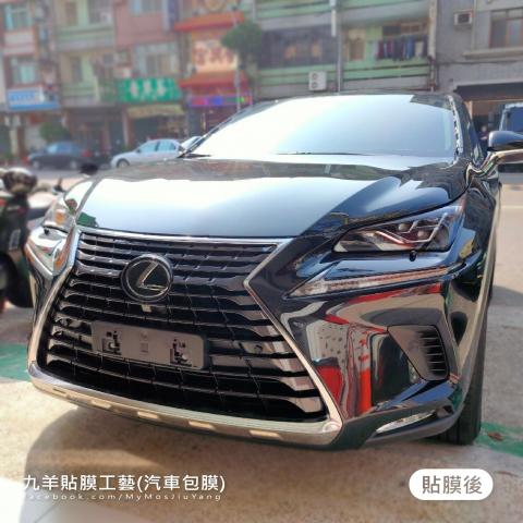 LEXUS NX300