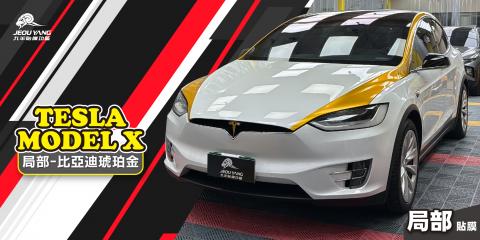TESLA MODELX 局部貼膜
