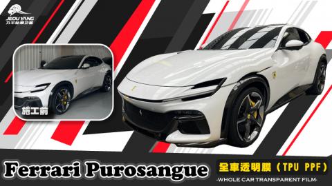Ferrari Purosangue全車貼膜